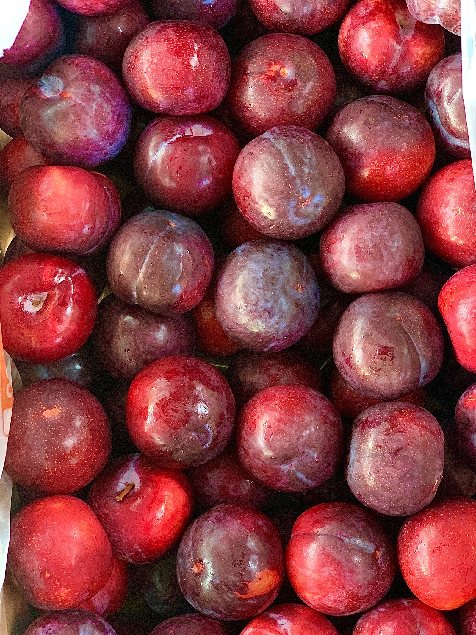 Ameixas fotografadas pela Cacique Frutas
